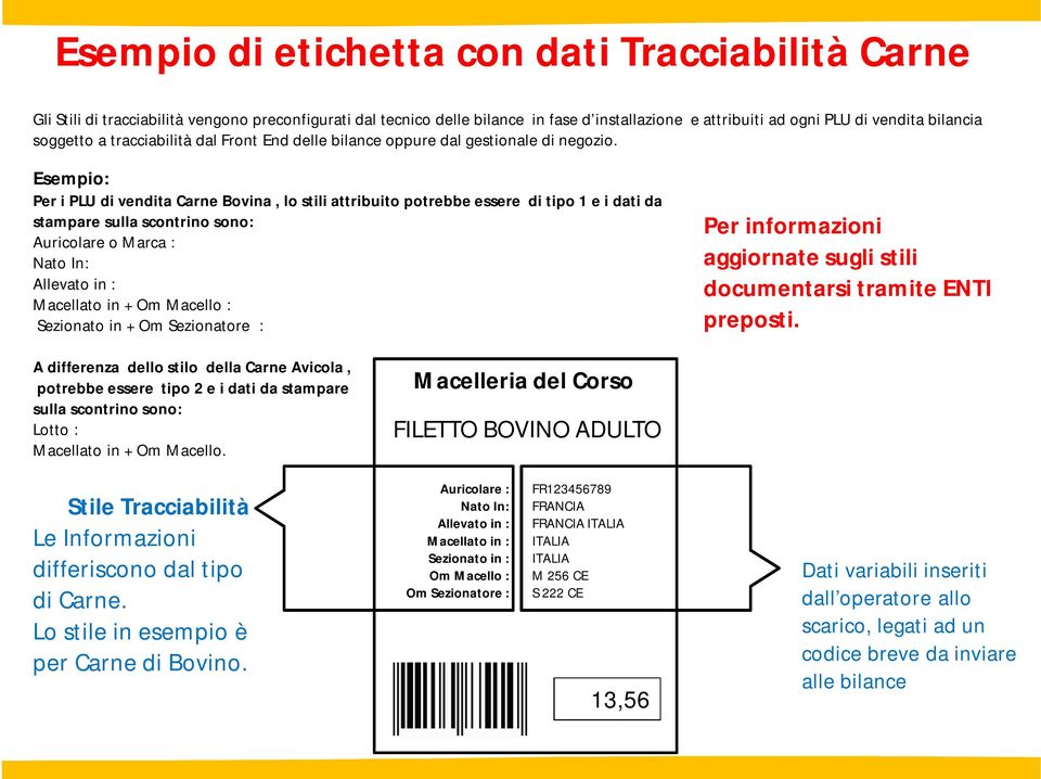 Esempio: Per i PLU di vendita Carne Bovina, lo stili attribuito potrebbe essere di tipo 1 e i dati da stampare sulla scontrino sono: Auricolare o Marca : Nato In: Allevato in : Macellato in + Om