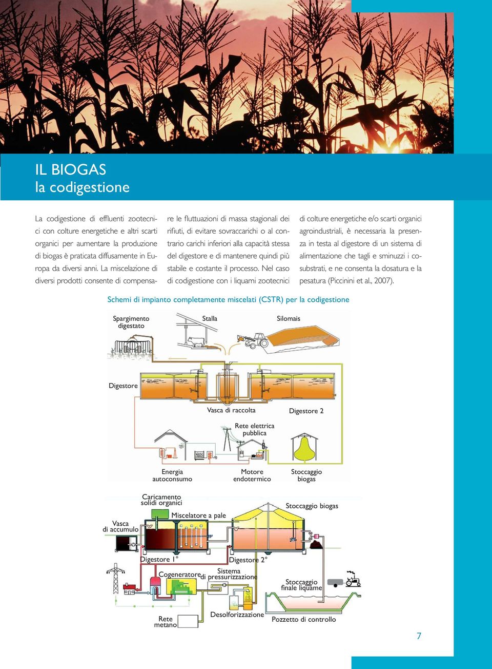 digestore e di mantenere quindi più stabile e costante il processo.