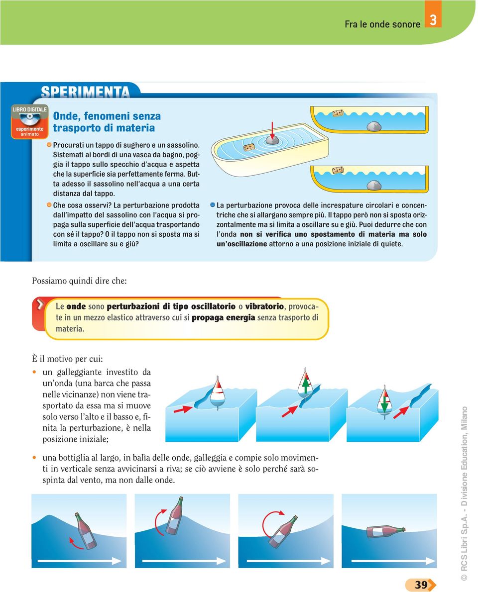 Butta adesso il sassolino nell acqua a una certa distanza dal tappo. Che cosa osservi?