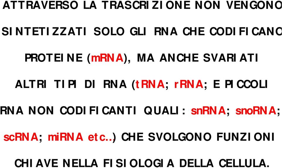 (trna; rrna; E PICCOLI RNA NON CODIFICANTI QUALI: snrna; snorna;