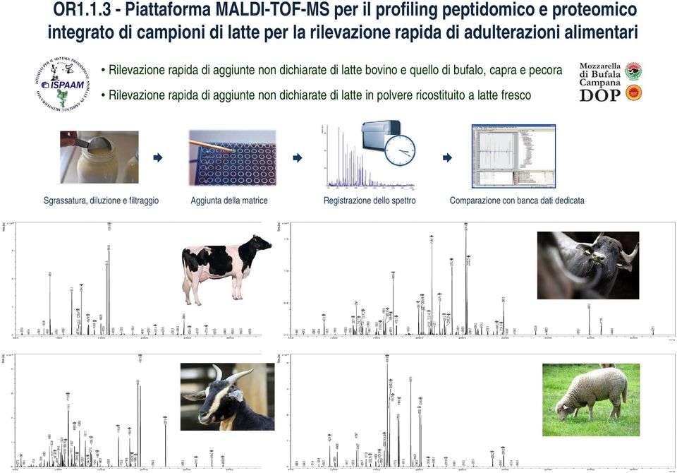 di bufalo, capra e pecora Rilevazione rapida di aggiunte non dichiarate di latte in polvere ricostituito a latte