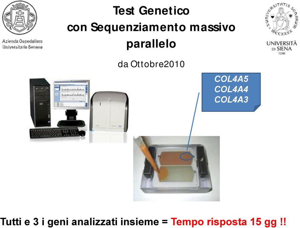 COL4A5 COL4A4 COL4A3 Tutti e 3 i