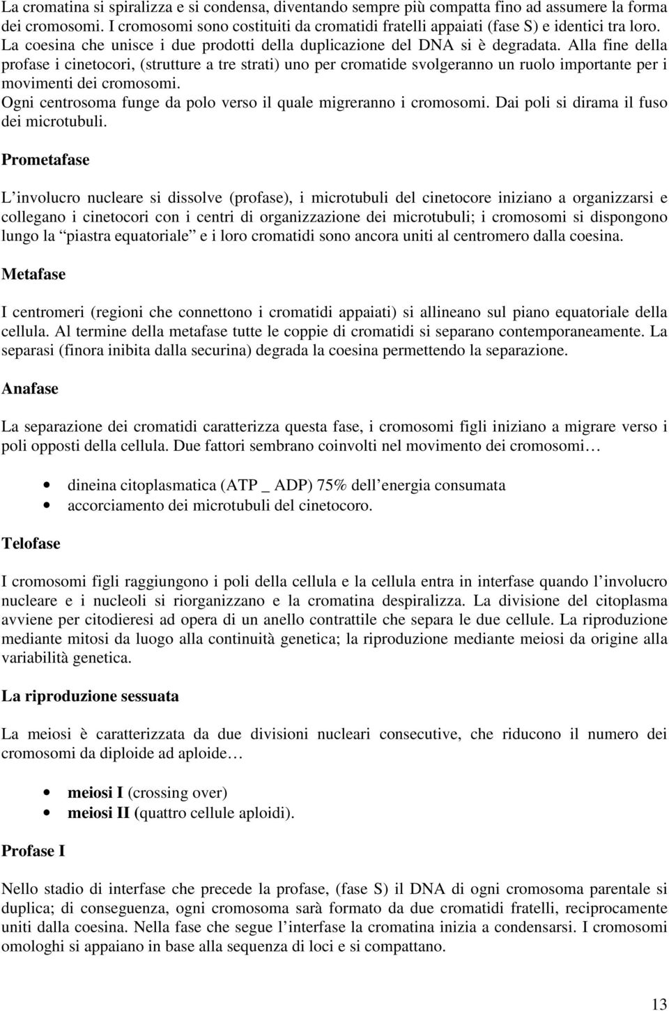 Alla fine della profase i cinetocori, (strutture a tre strati) uno per cromatide svolgeranno un ruolo importante per i movimenti dei cromosomi.