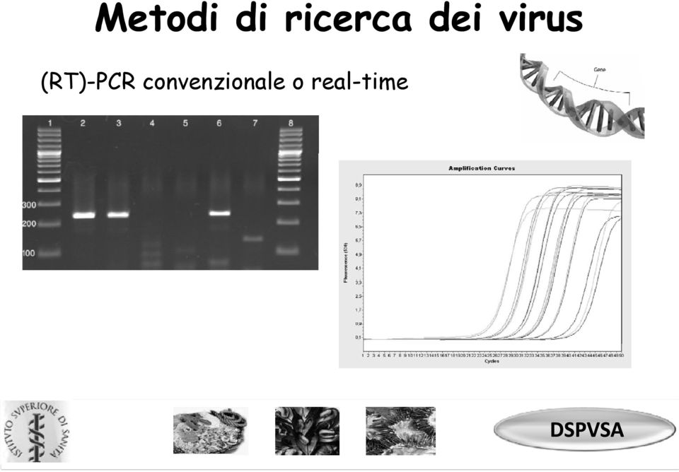 o real-time tm Istituto