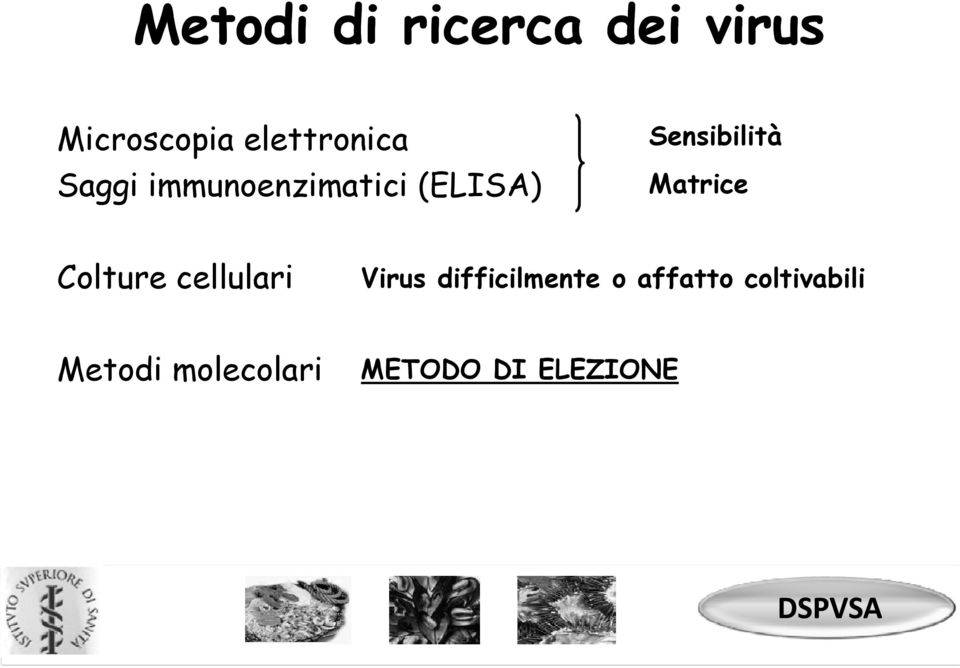 cellulari Virus difficilmente o affatto coltivabili Metodi