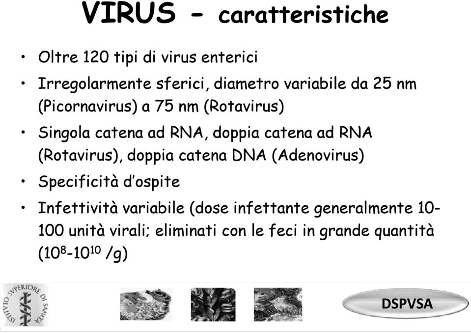 catena DNA (Adenovirus) Specificità d ospite Infettività variabile (dose infettante generalmente 10-100
