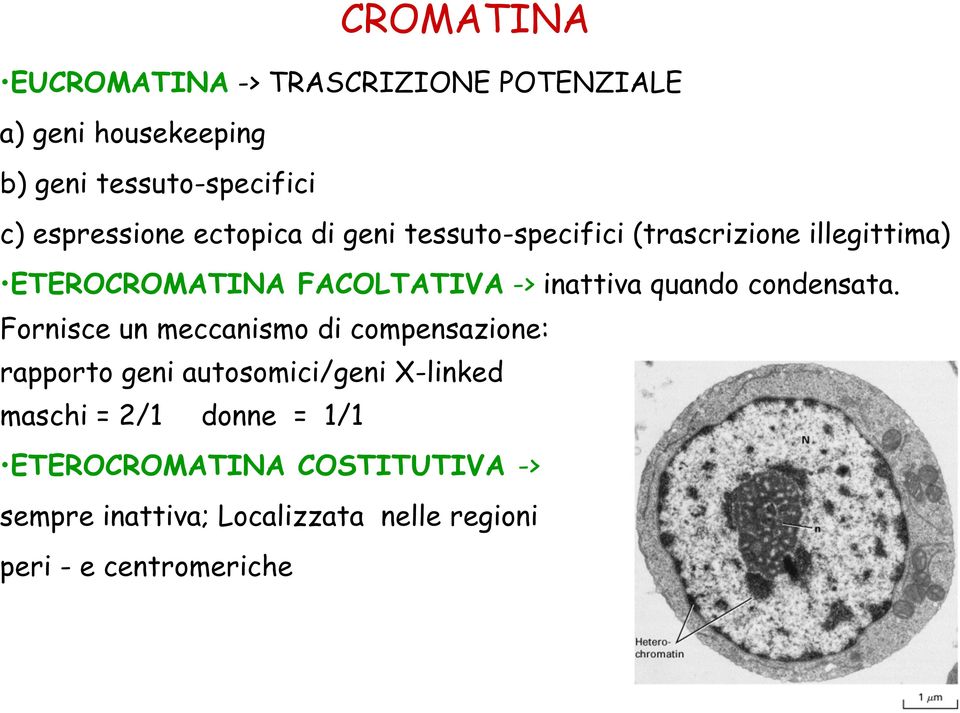 inattiva quando condensata.