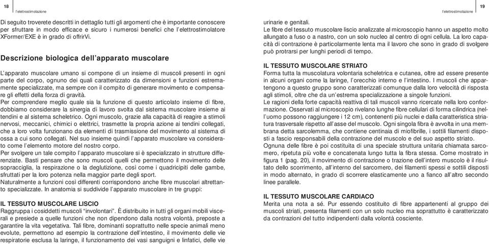 Descrizione biologica dell apparato muscolare L apparato muscolare umano si compone di un insieme di muscoli presenti in ogni parte del corpo, ognuno dei quali caratterizzato da dimensioni e funzioni