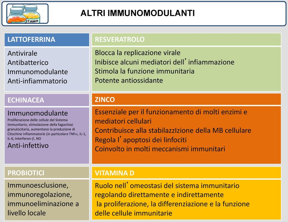 alcuni mediatori dell infiammazione Stimola la funzione immunitaria Potente antiossidante ZINCO Essenziale per il funzionamento di molti enzimi e mediatori cellulari Contribuisce alla stabilazzizione