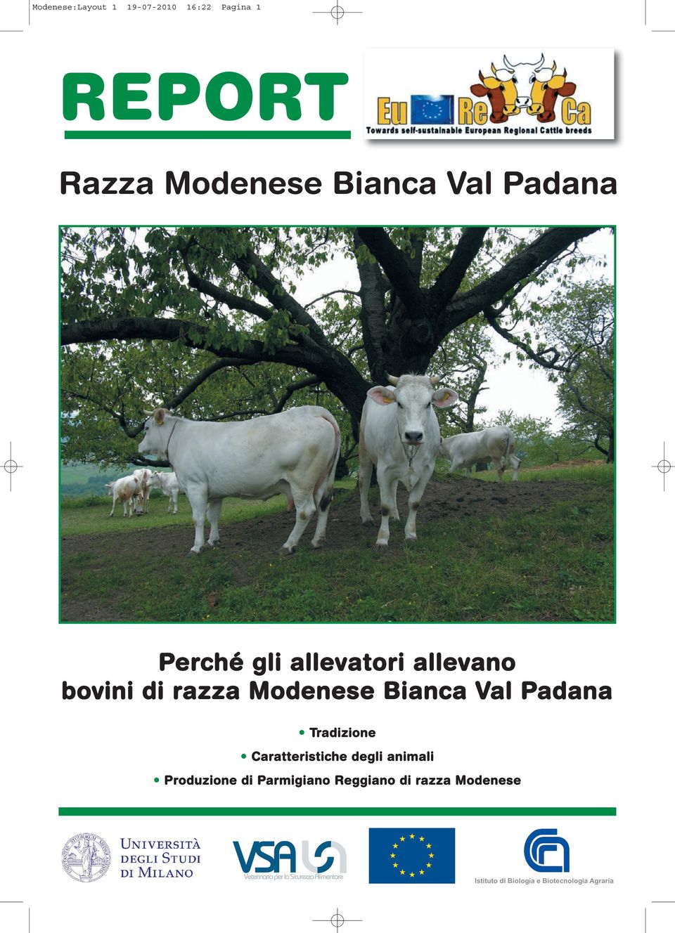 Padana Tradizione Caratteristiche degli animali Produzione di