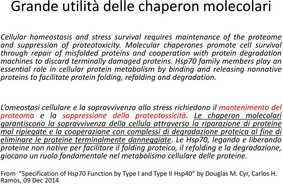 Hsp70 family members play an essential role in cellular protein metabolism by binding and releasing nonnative proteins to facilitate protein folding, refolding and degradation.