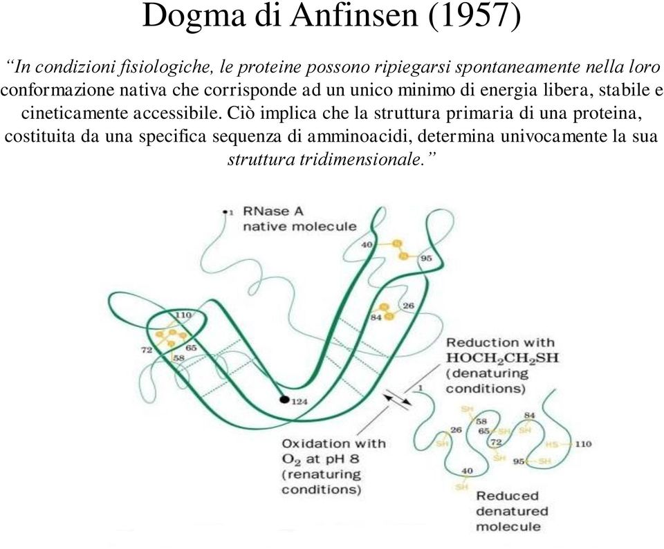 libera, stabile e cineticamente accessibile.