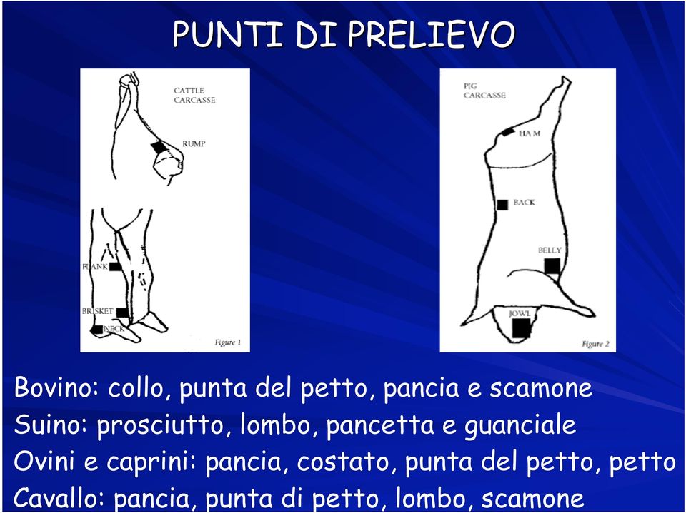 guanciale Ovini e caprini: pancia, costato, punta del