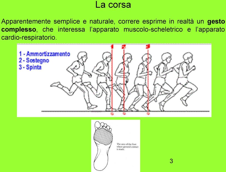 gesto complesso, che interessa l apparato