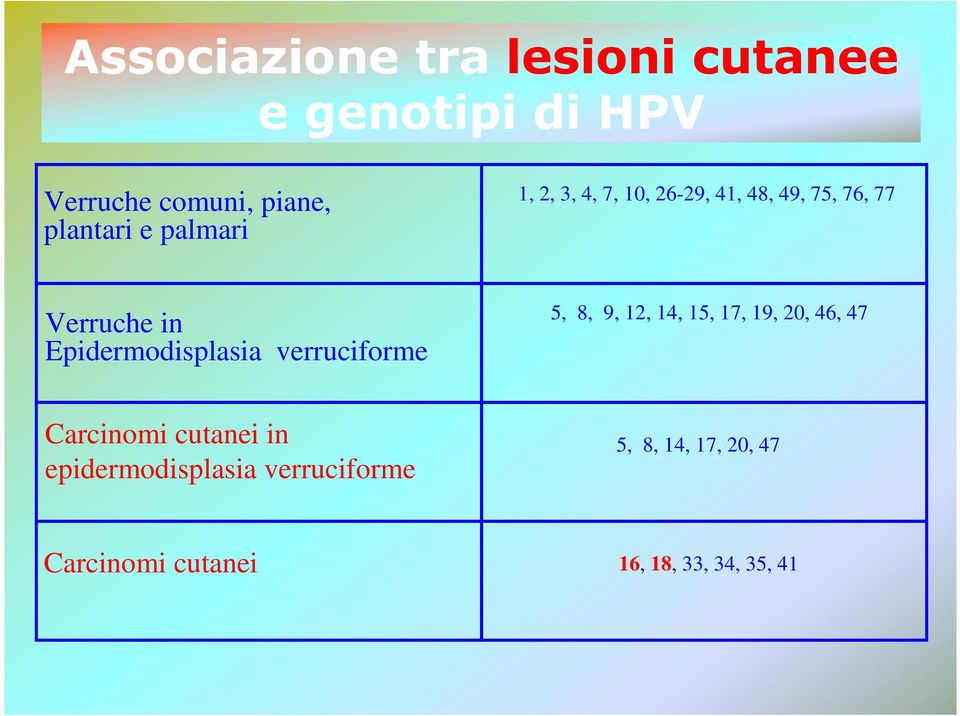 Epidermodisplasia verruciforme 5, 8, 9, 12, 14, 15, 17, 19, 20, 46, 47 Carcinomi