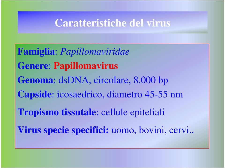 000 bp Capside: icosaedrico, diametro 45-55 nm Tropismo