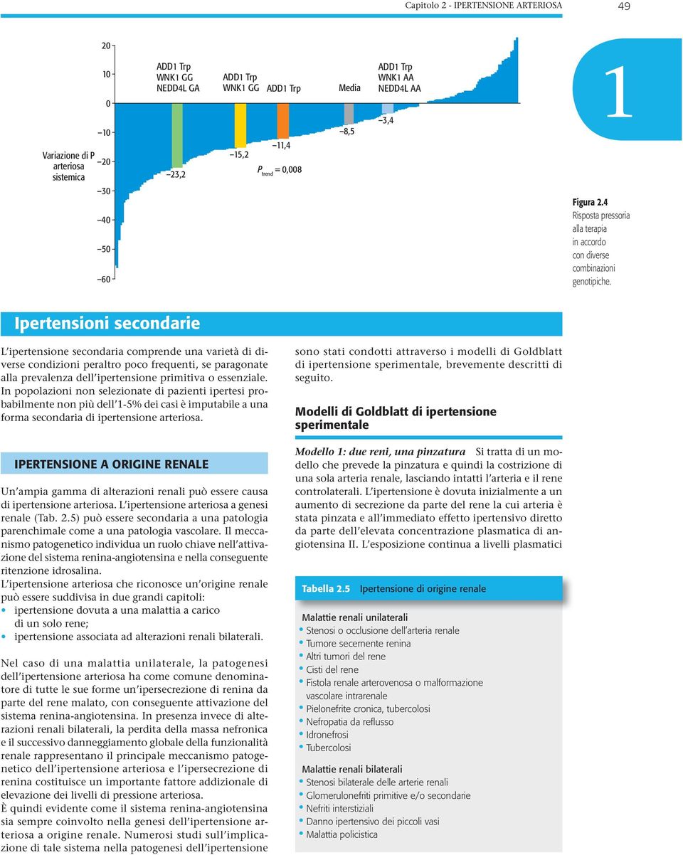 Ipertensioni secondarie L ipertensione secondaria comprende una varietà di diverse condizioni peraltro poco frequenti, se paragonate alla prevalenza dell ipertensione primitiva o essenziale.