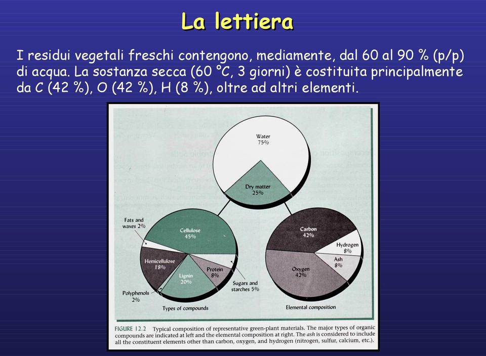 La sostanza secca (60 C, 3 giorni) è costituita