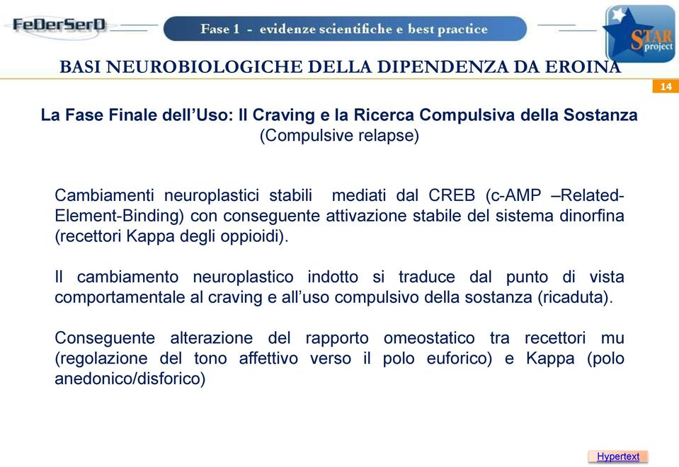 Il cambiamento neuroplastico indotto si traduce dal punto di vista comportamentale al craving e all uso compulsivo della sostanza (ricaduta).