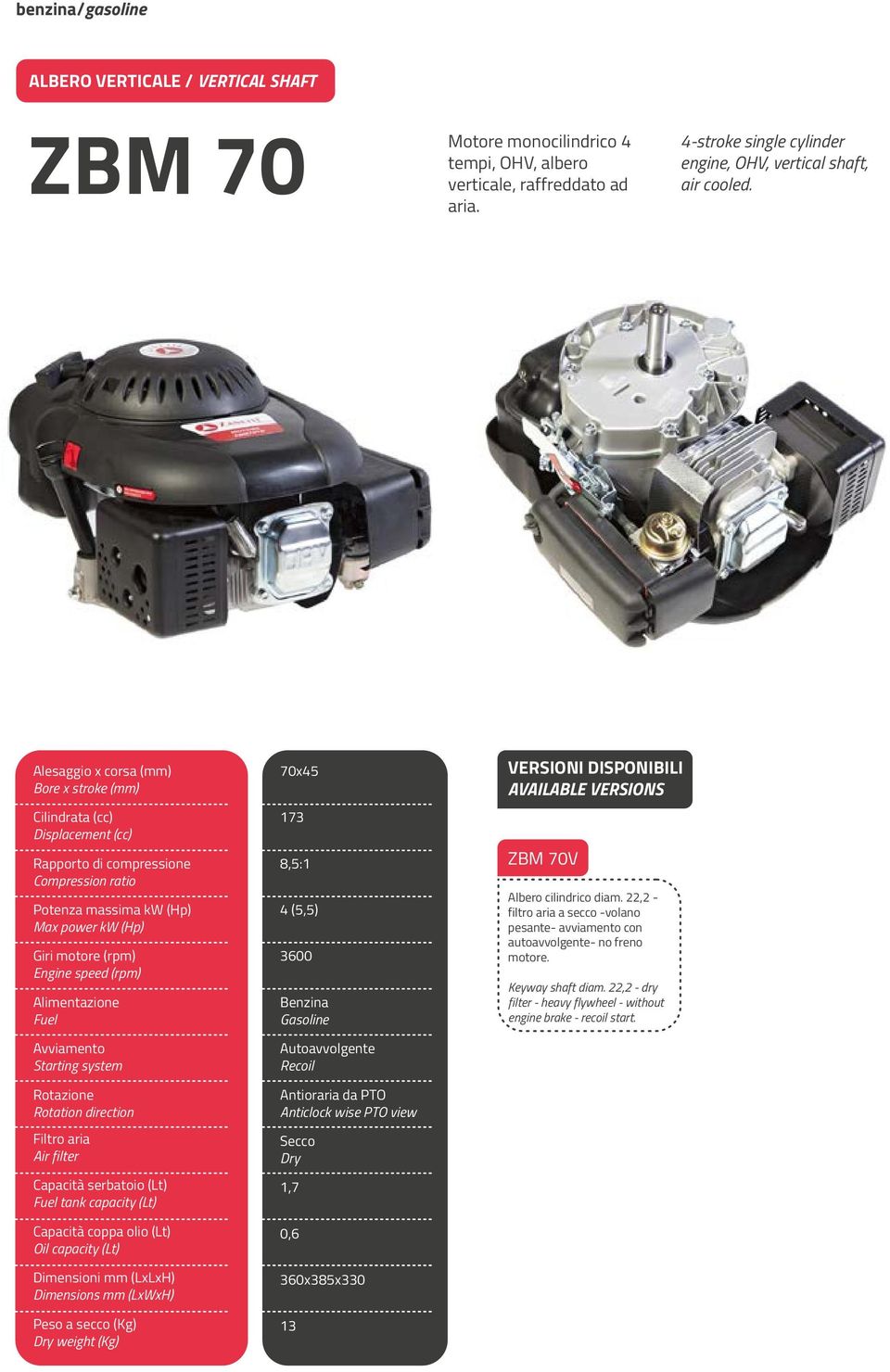 Alimentazione Fuel Rotazione Rotation direction Filtro aria Air filter Capacità serbatoio (Lt) Fuel tank capacity (Lt) Capacità coppa olio (Lt) Oil capacity (Lt) Dimensions mm (LxWxH) 70x45 173 8,5:1