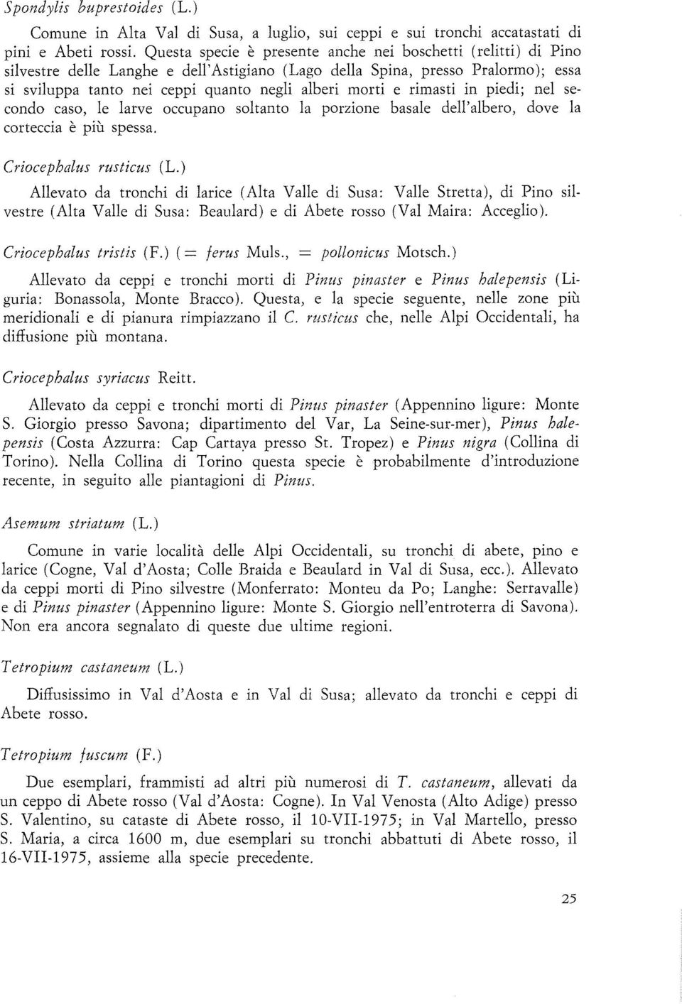 e rimasti in piedi; nel secondo caso, le larve occupano soltanto la porzione basale dell'albero, dove la corteccia è più spessa. Criocephalus rusticus (L.