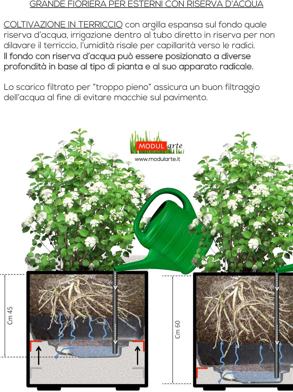 Il fondo con riserva d acqua può essere posizionato a diverse profondità in base al tipo di