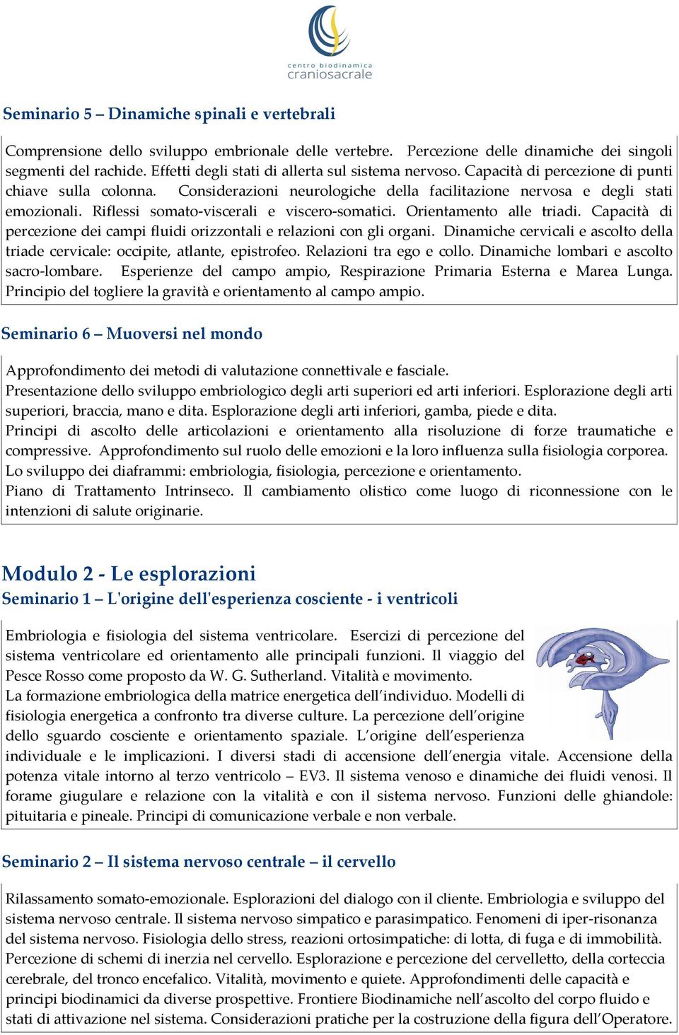 Riflessi somato-viscerali e viscero-somatici. Orientamento alle triadi. Capacità di percezione dei campi fluidi orizzontali e relazioni con gli organi.