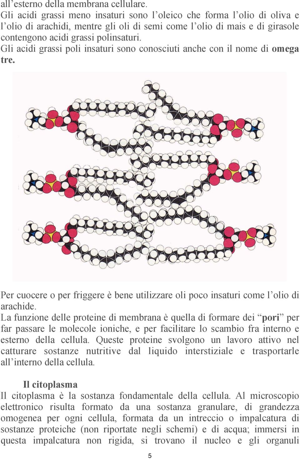 Gli acidi grassi poli insaturi sono conosciuti anche con il nome di omega tre. Per cuocere o per friggere è bene utilizzare oli poco insaturi come l olio di arachide.