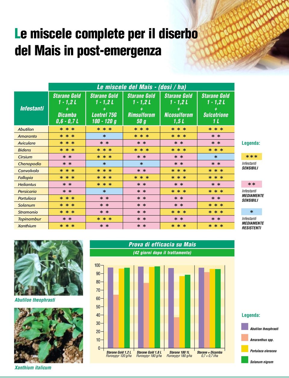 Infestanti MEDIAMETE SESIBILI Infestanti MEDIAMETE RESISTETI Prova di efficacia su Mais (42 giorni dopo il trattamento) 100 90 80 70 Abutilon theophrasti 60 50 40 Legenda: 30 20 Abutilon