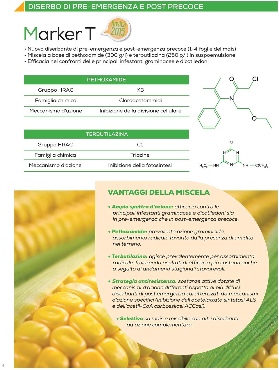 cellulre O TERBUTILAZINA Gruppo HRAC C1 CI Fmigli chimic Trizine N N Meccnismo d zione Inibizione dell fotosintesi H 5 C 2 NH N NH C(CH 3 ) 3 VANTAGGI DELLA MISCELA Ampio spettro d zione: efficci