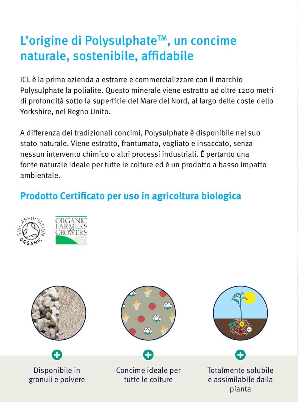 A differenza dei tradizionali concimi, Polysulphate è disponibile nel suo stato naturale.