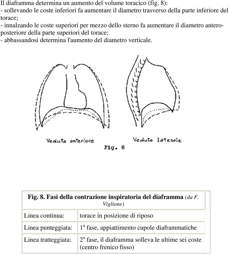 sterno fa aumentare il diametro anteroposteriore della parte superiori del torace; - abbassandosi determina l'aumento del diametro verticale. Fig. 8.