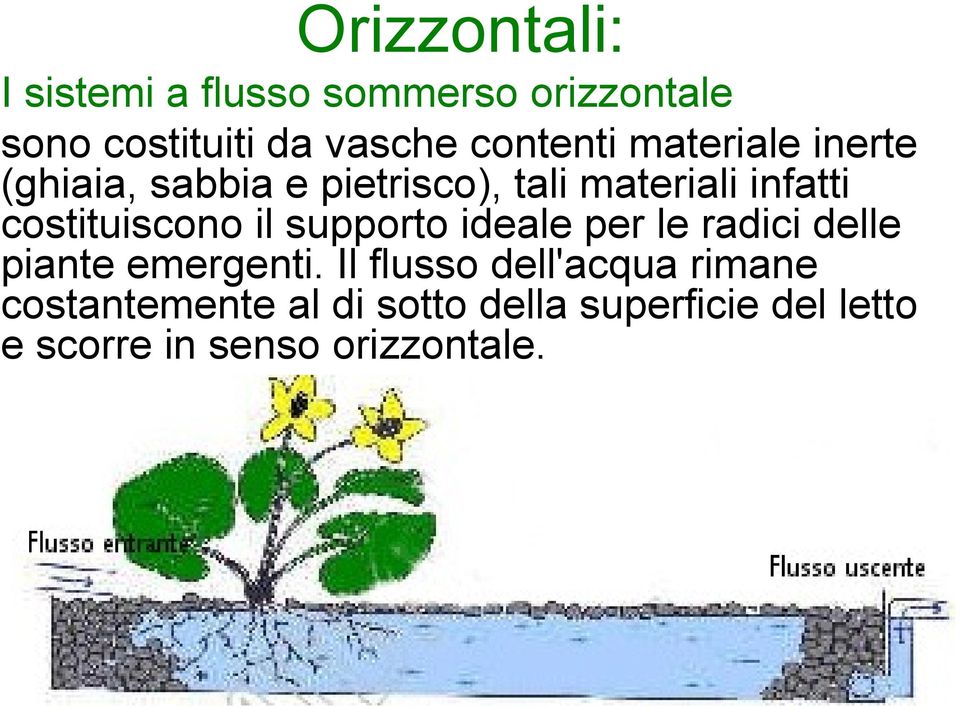 costituiscono il supporto ideale per le radici delle piante emergenti.