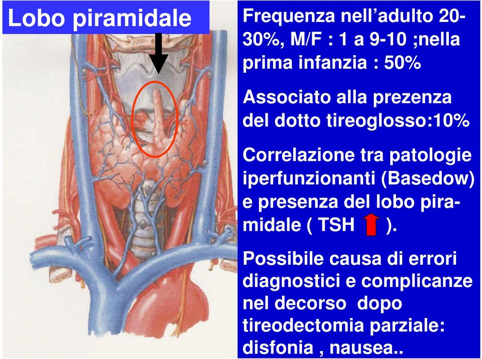 iperfunzionanti (Basedow) e presenza del lobo piramidale ( TSH ).