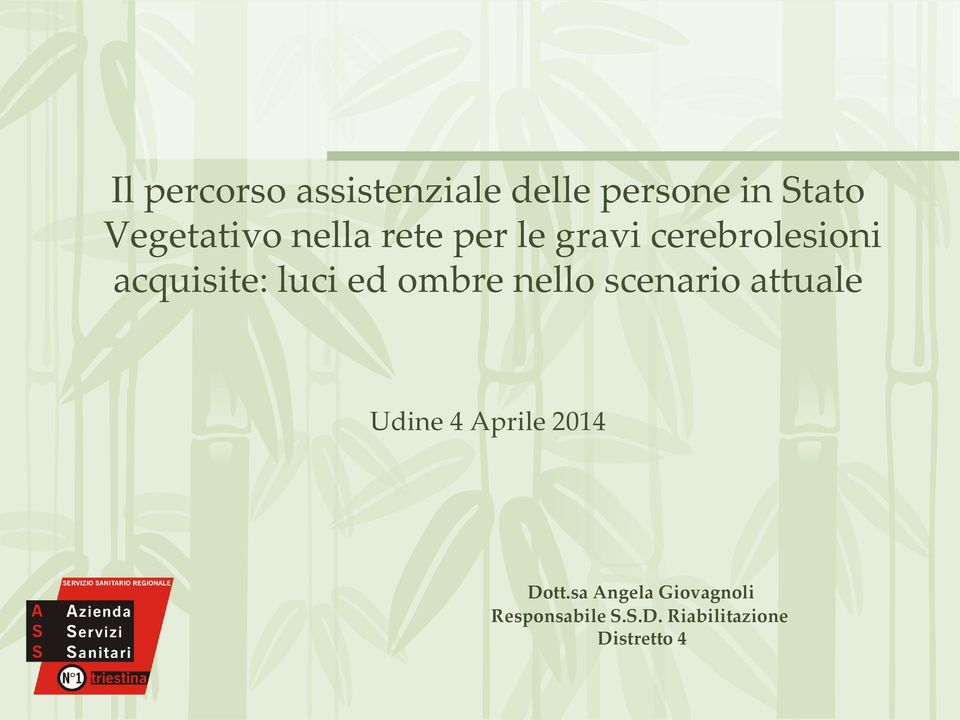 ombre nello scenario attuale Udine 4 Aprile 2014 Dott.