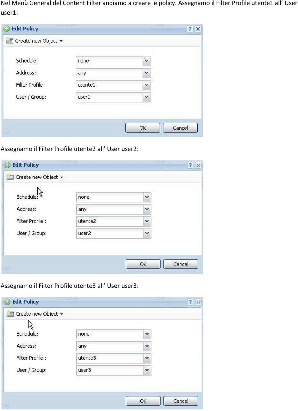 Assegnamo il Filter Profile utente1 all User user1: