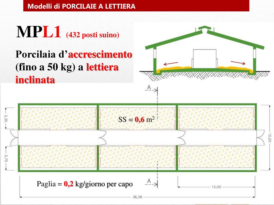 accrescimento (fino a 50 kg) a lettiera