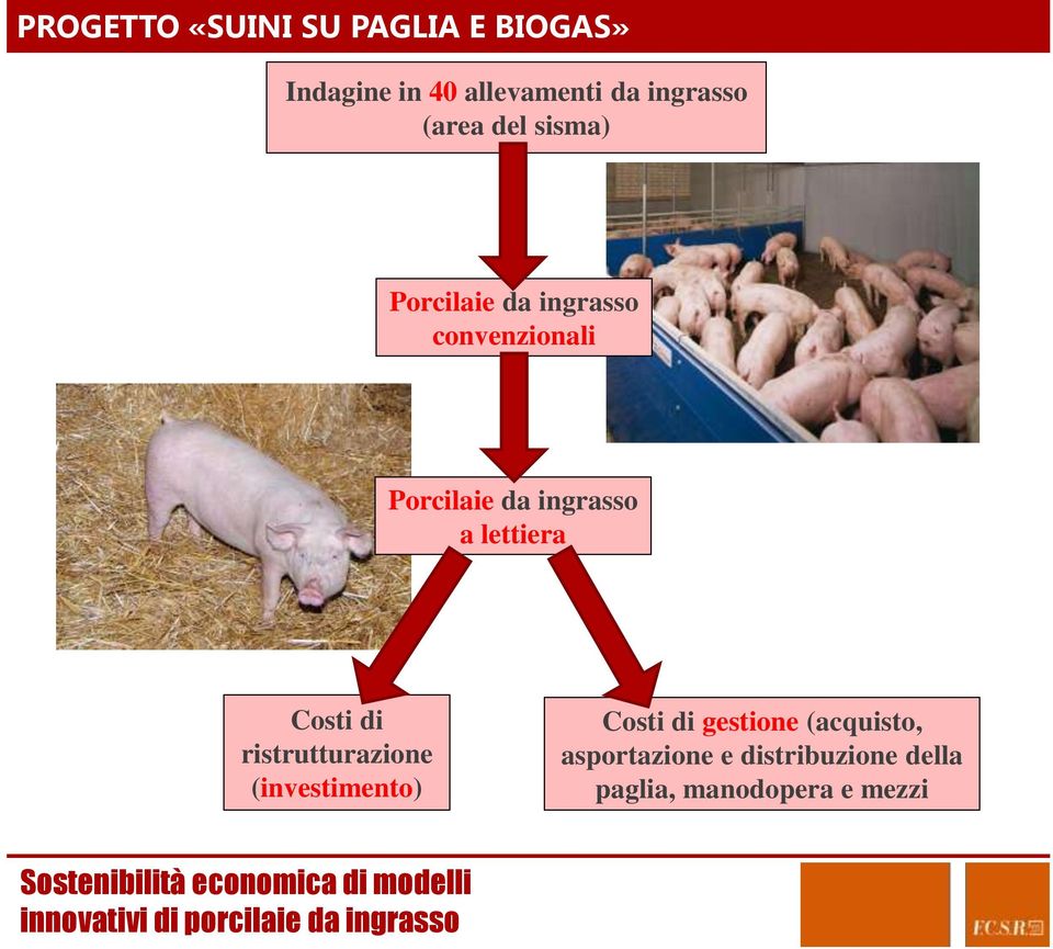 da ingrasso a lettiera Costi di ristrutturazione (investimento) Costi di