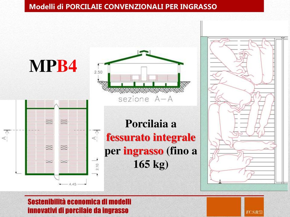 MPB4 Porcilaia a fessurato