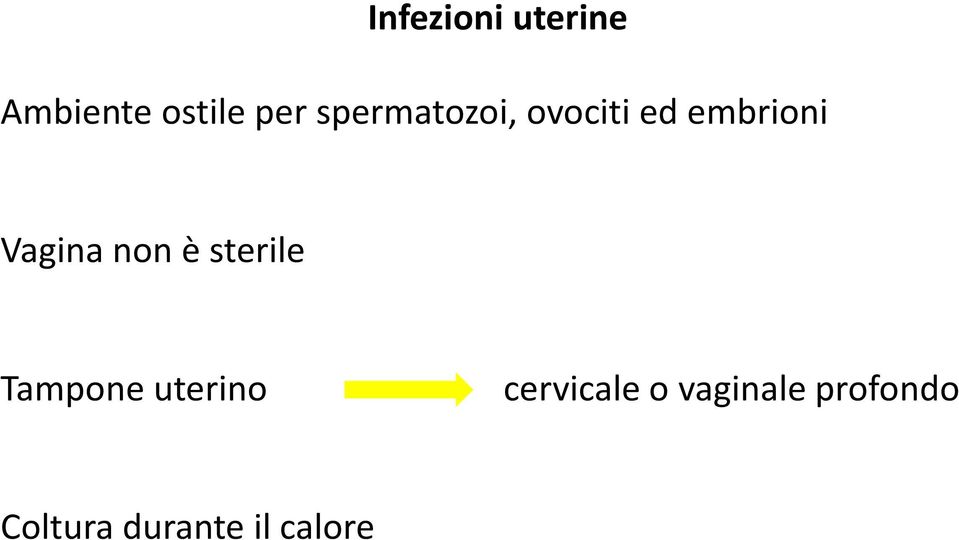 non è sterile Tampone uterino cervicale