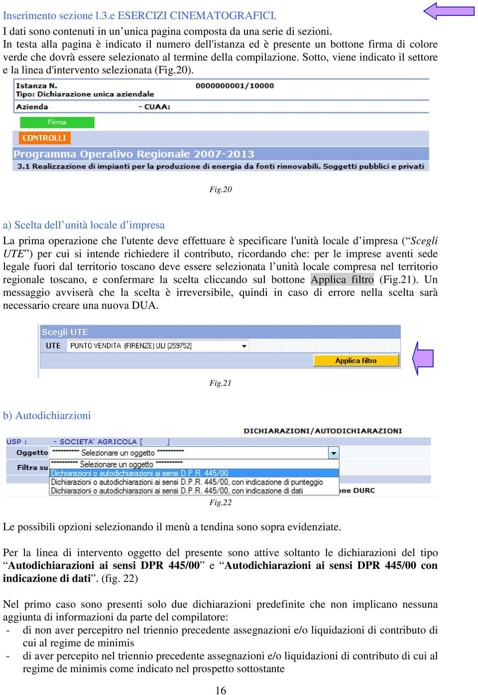 Sotto, viene indicato il settore e la linea d'intervento selezionata (Fig.20). Fig.