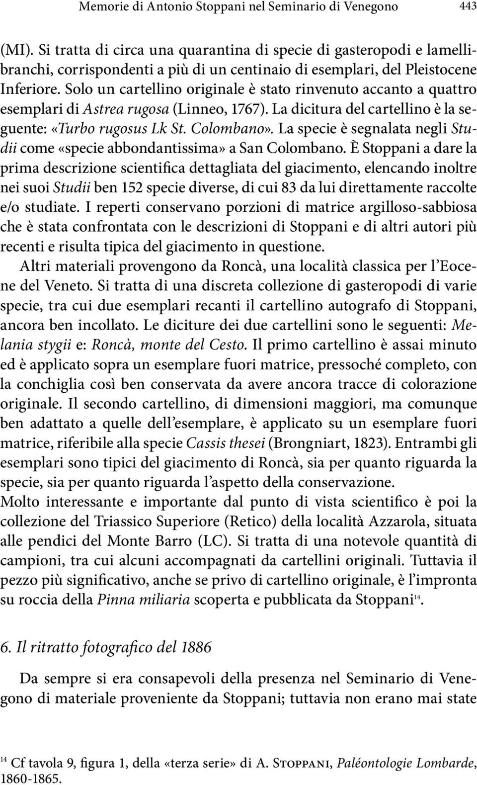 Solo un cartellino originale è stato rinvenuto accanto a quattro esemplari di Astrea rugosa (Linneo, 1767). La dicitura del cartellino è la seguente: «Turbo rugosus Lk St. Colombano».
