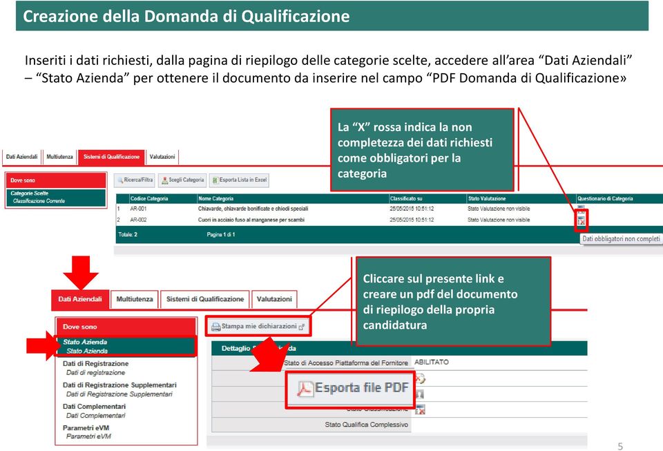 campo PDF Domanda di Qualificazione» La X rossa indica la non completezza dei dati richiesti come