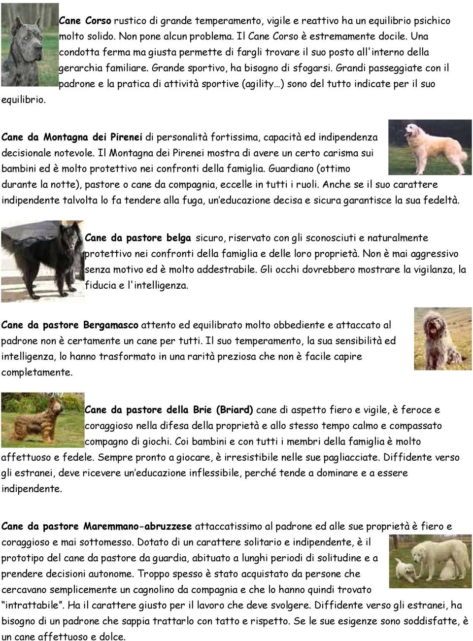 Grandi passeggiate con il padrone e la pratica di attività sportive (agility ) sono del tutto indicate per il suo Cane da Montagna dei Pirenei di personalità fortissima, capacità ed indipendenza