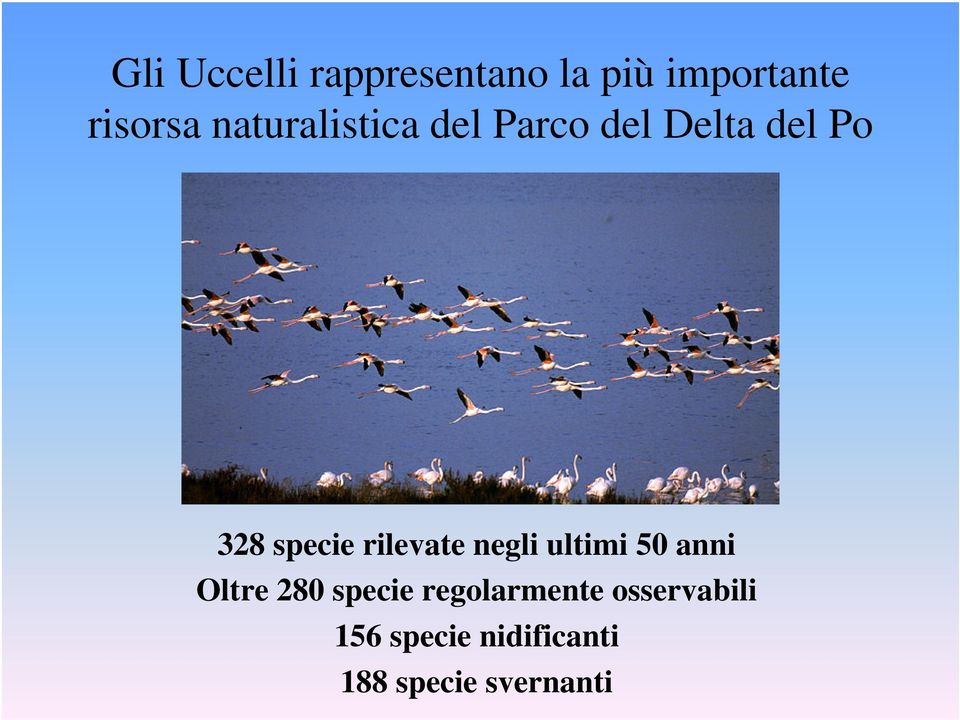 rilevate negli ultimi 50 anni Oltre 280 specie