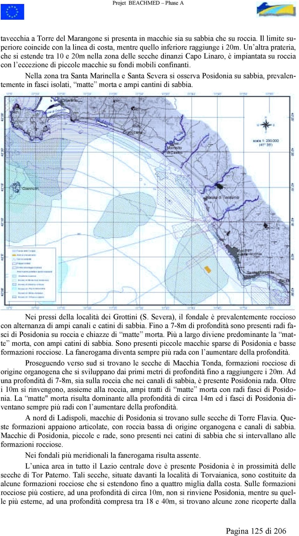 Nella zona tra Santa Marinella e Santa Severa si osserva Posidonia su sabbia, prevalentemente in fasci isolati, matte morta e ampi cantini di sabbia. Nei pressi della località dei Grottini (S.