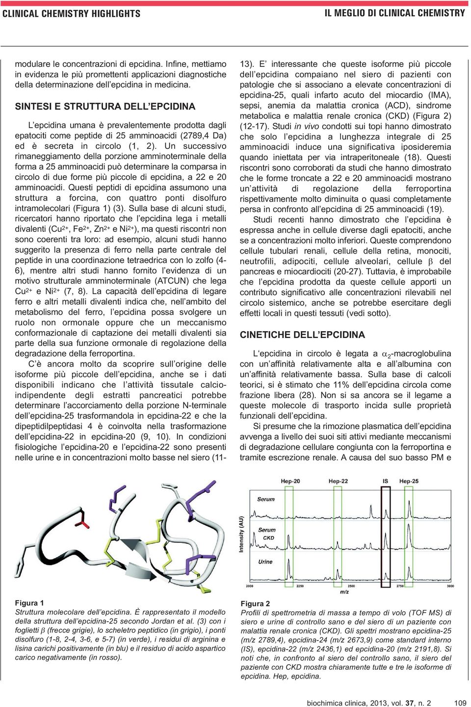 Un successivo rimaneggiamento della porzione amminoterminale della forma a 25 amminoacidi può determinare la comparsa in circolo di due forme più piccole di epcidina, a 22 e 20 amminoacidi.