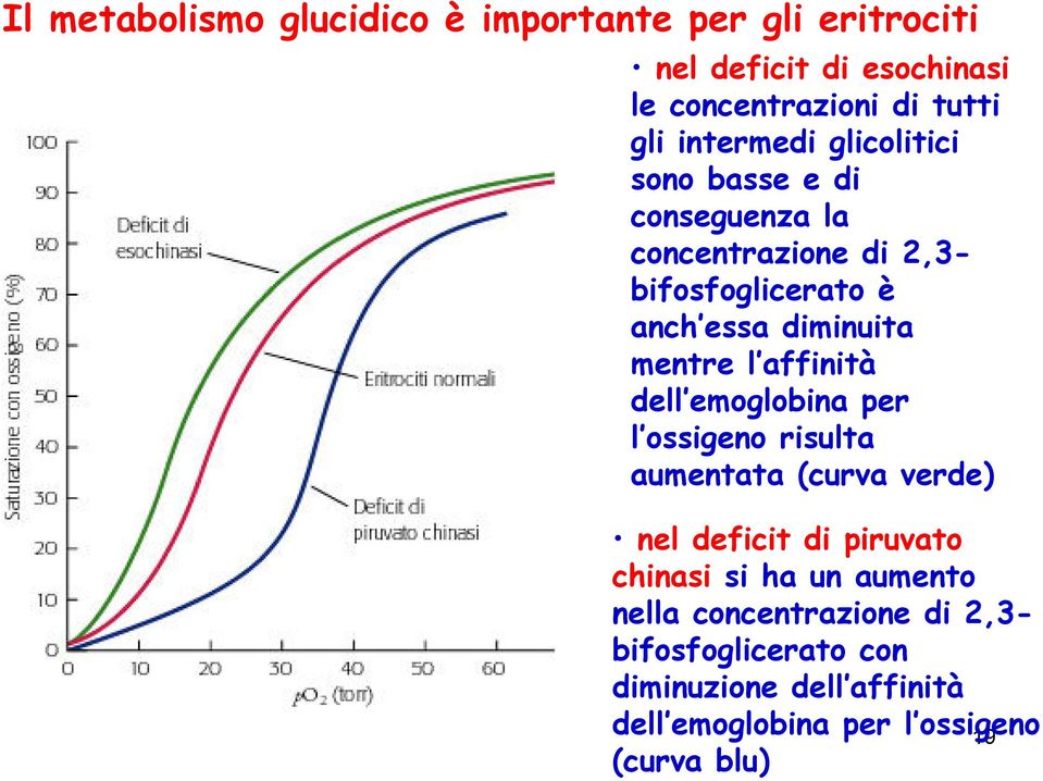 mentre l affinità dell emoglobina per l ossigeno risulta aumentata (curva verde) nel deficit di piruvato chinasi si ha