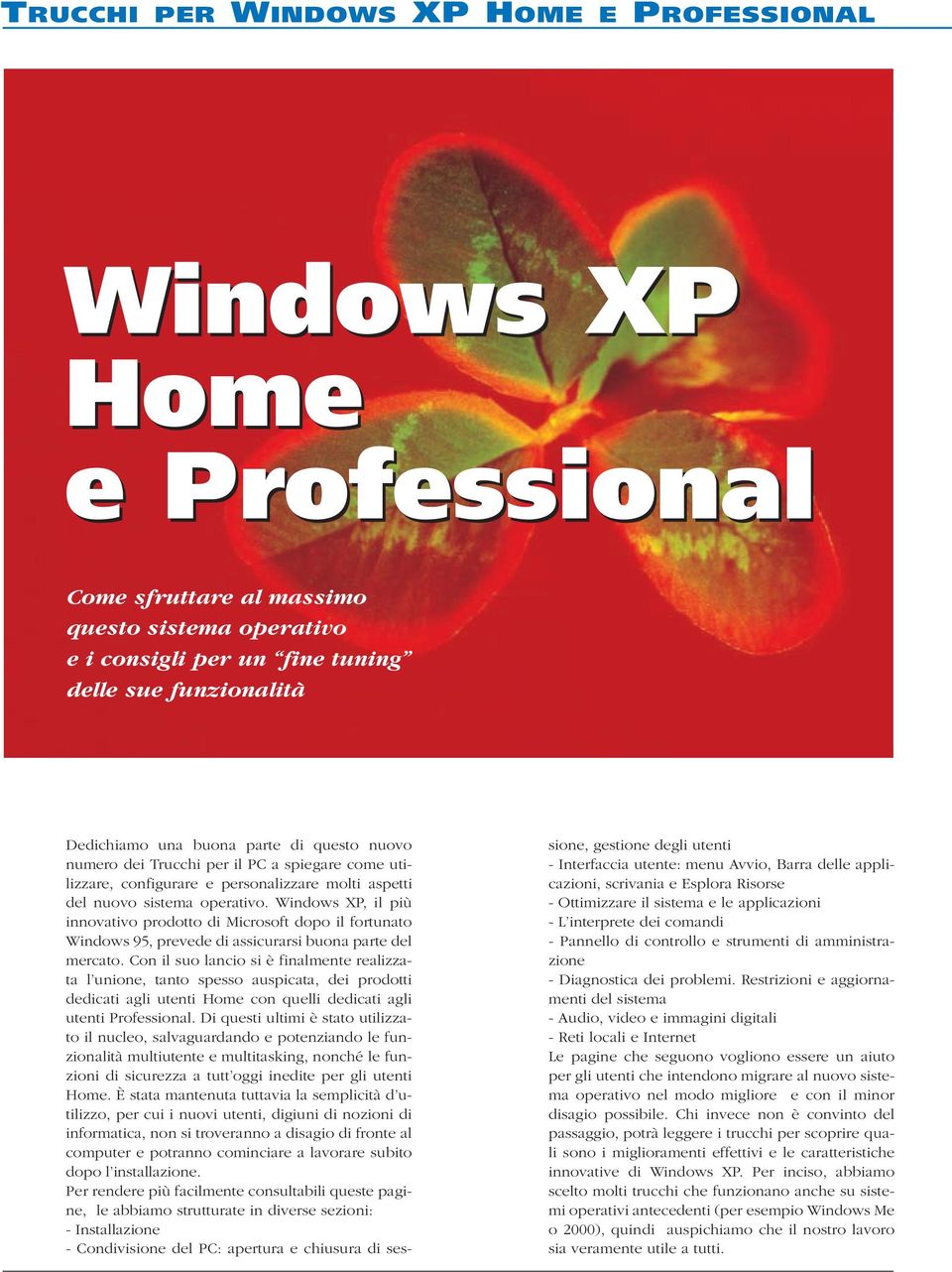 Windows XP, il più innovativo prodotto di Microsoft dopo il fortunato Windows 95, prevede di assicurarsi buona parte del mercato.
