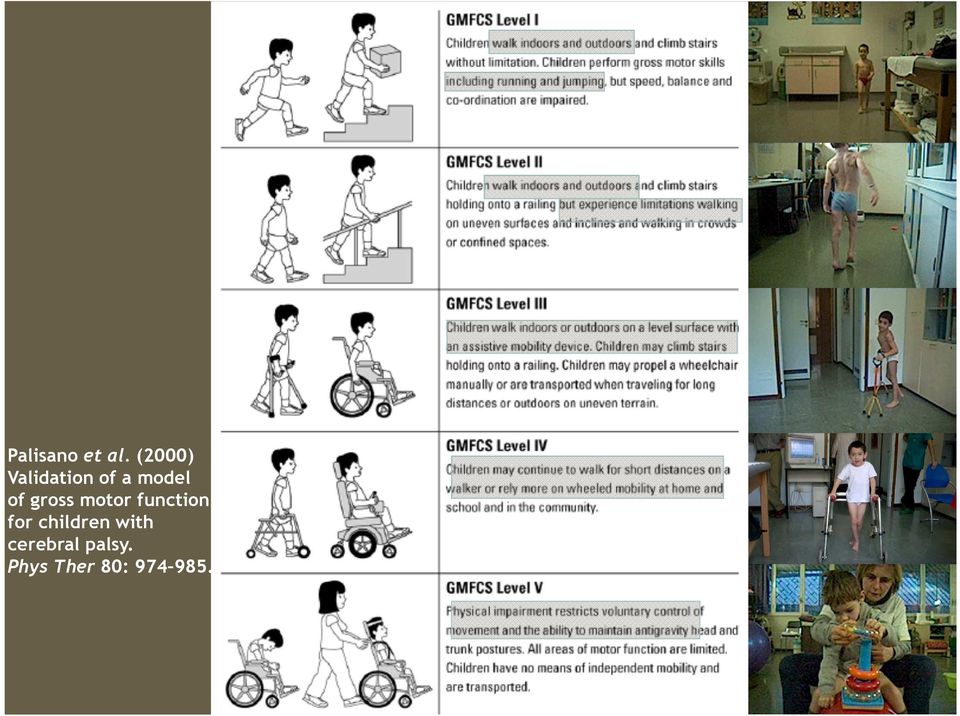 gross motor function for